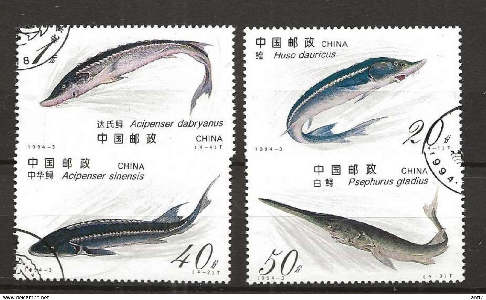 China 1994 Fishes, Sturgeons   Mi  2521 - 2524  Cancelled(o) - Oblitérés