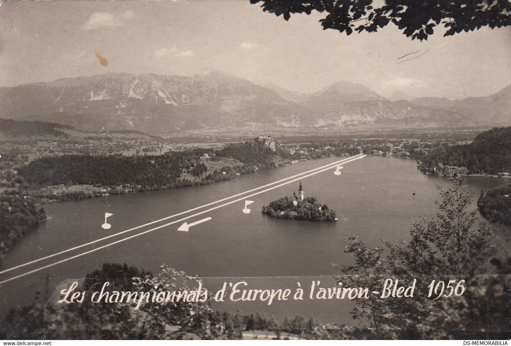 Rowing Aviron European Championship Bled Yugoslavia 1956 Postcard + Postmark - Aviron