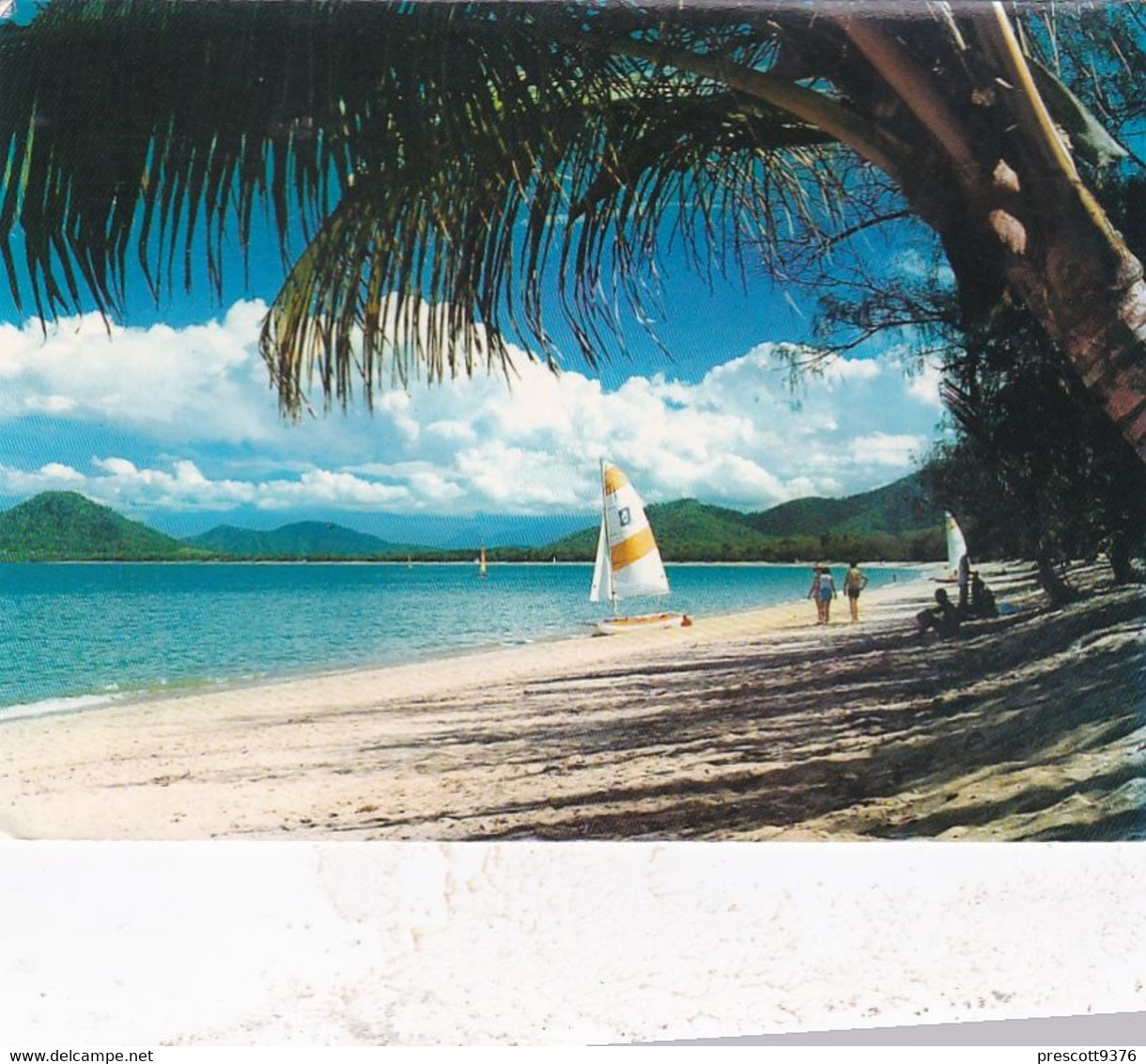 Palm Cove Beach - NT - NSW -  Australia  - Used Postcard - - Zonder Classificatie