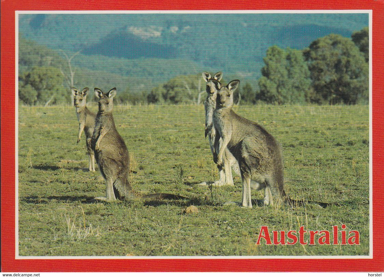 Australien - Kangaroos - Nice Stamp - Outback