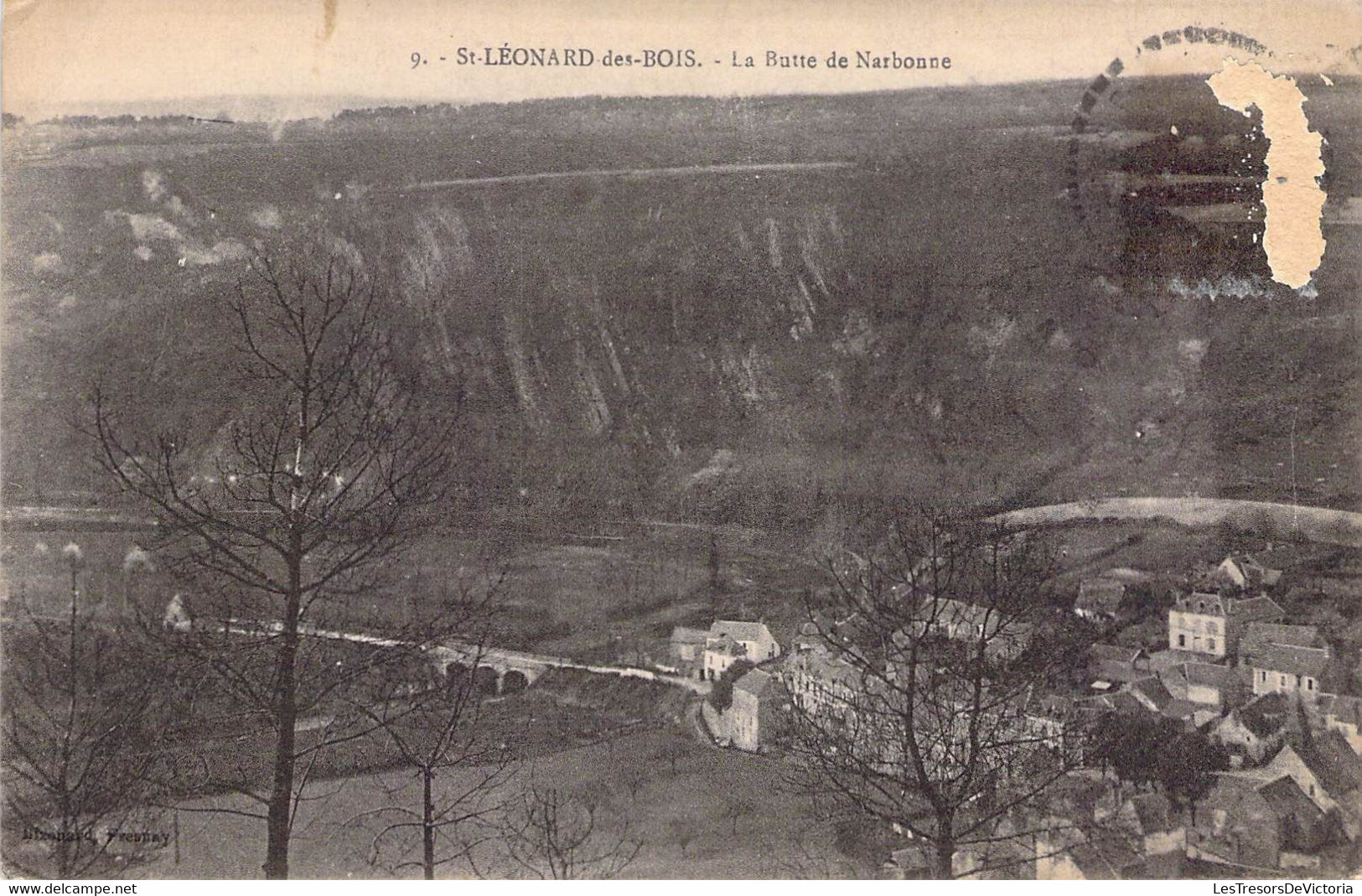 CPA France - Sarthe - Saint Léonard Des Bois - La Butte De Narbonne - Oblitérée - Paysage - Pont - Village - Panorama - Saint Leonard Des Bois