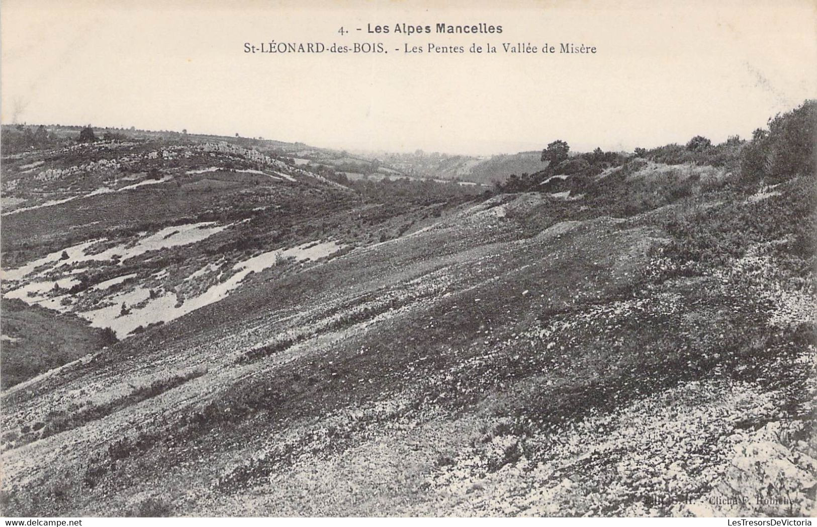 CPA France - Sarthe - Les Alpes Mancelles - Saint Léonard Des Bois - Les Pentes De La Vallée De Misère - Paysage - Saint Leonard Des Bois