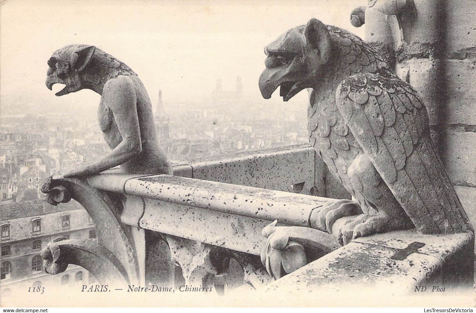 CPA France - Paris - Cathédrale Notre Dame De Paris - Chimères - Sculptures - Ornements Architecturaux - Notre Dame Von Paris