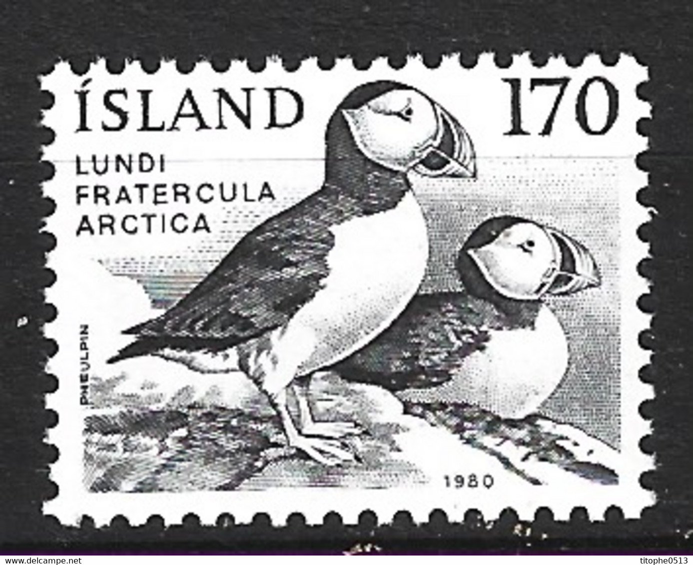 ISLANDE. N°512 De 1981. Macareux Moine. - Sonstige & Ohne Zuordnung