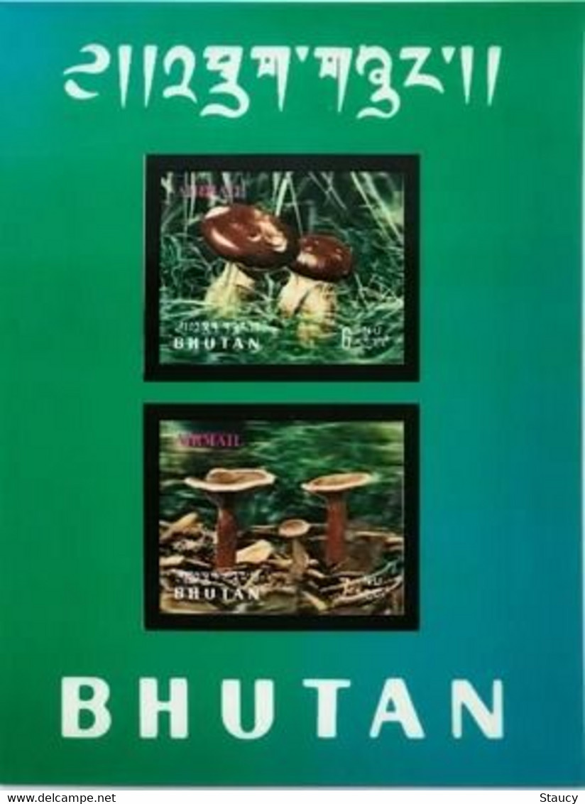 BHUTAN 1973 MUSHROOMS - 3d  Unique Stamp Imperf, Souvenir / Miniature Sheets MNH, As Per Scan - Legumbres