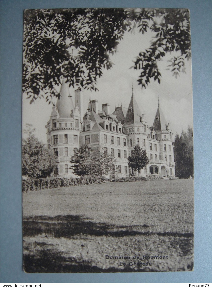 Domaine De Roumont - Le Château - Libin