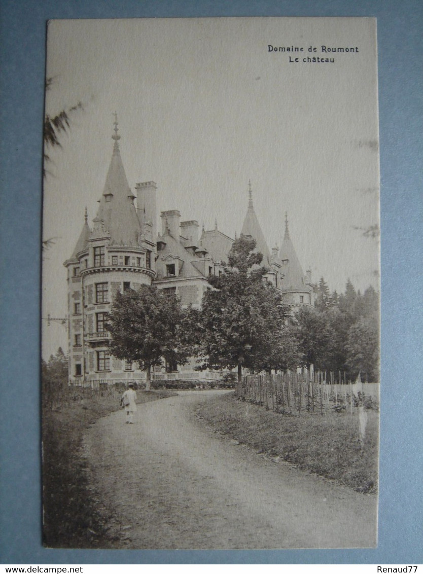 Domaine De Roumont - Le Château - Libin