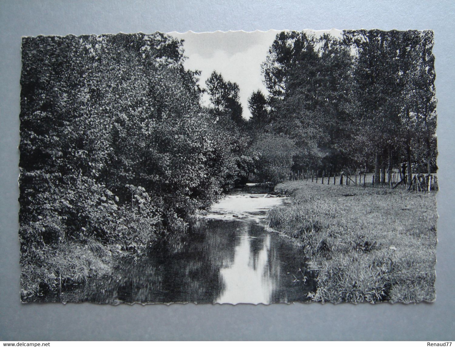 Amonines - Vue Sur L'Aisne - Erezée