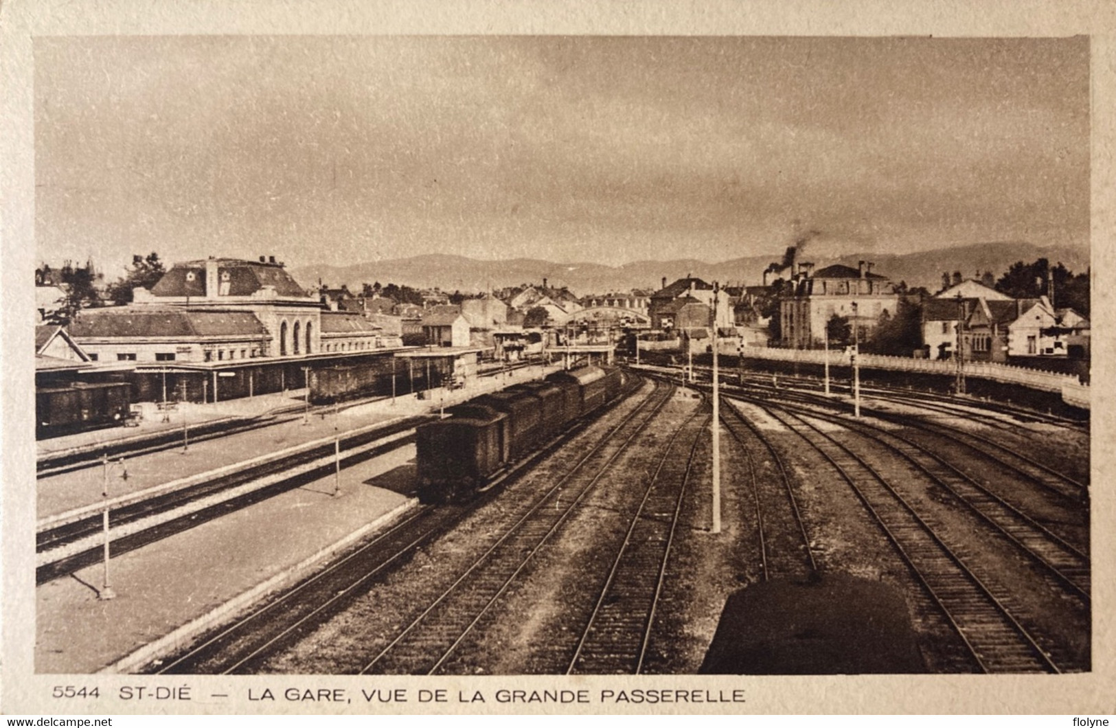 Saint Dié - La Gare , Vue De La Grande Passerelle - Wagon Et La Ligne Du Chemin De Fer - Saint Die