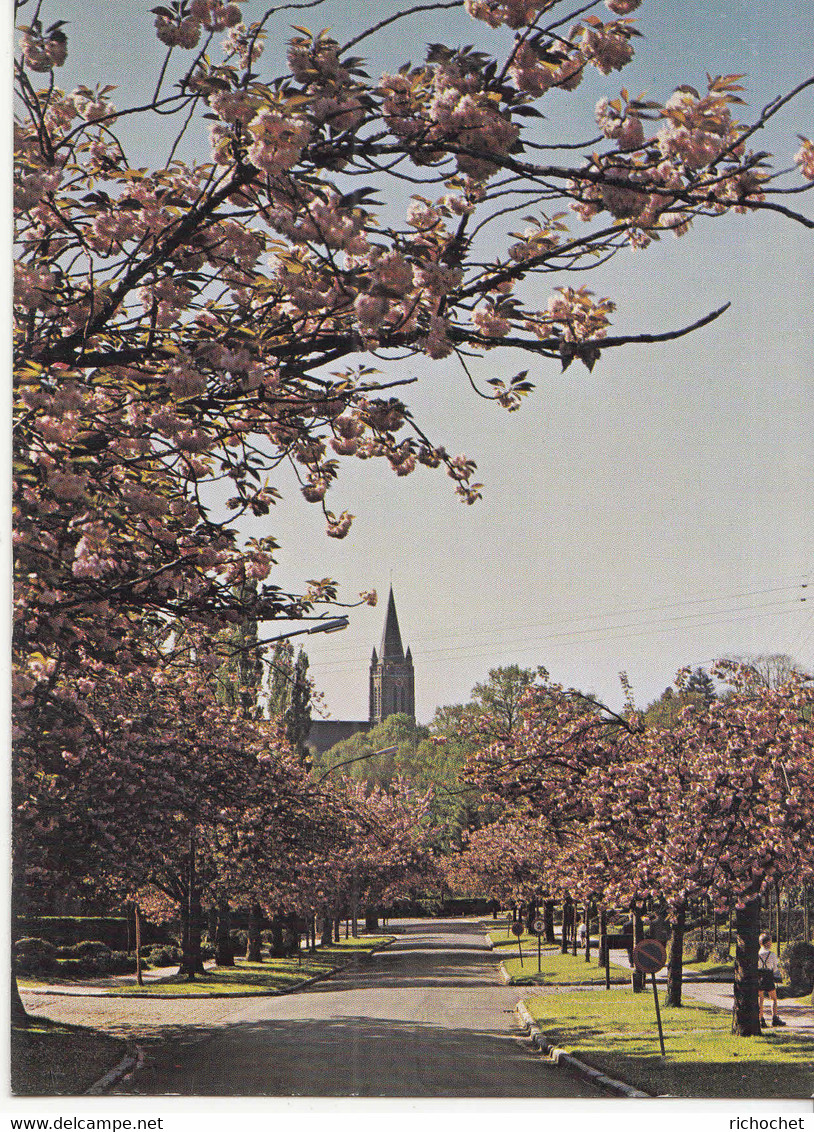 BOITSFORT - Eglise St-Hubert - Watermaal-Bosvoorde - Watermael-Boitsfort