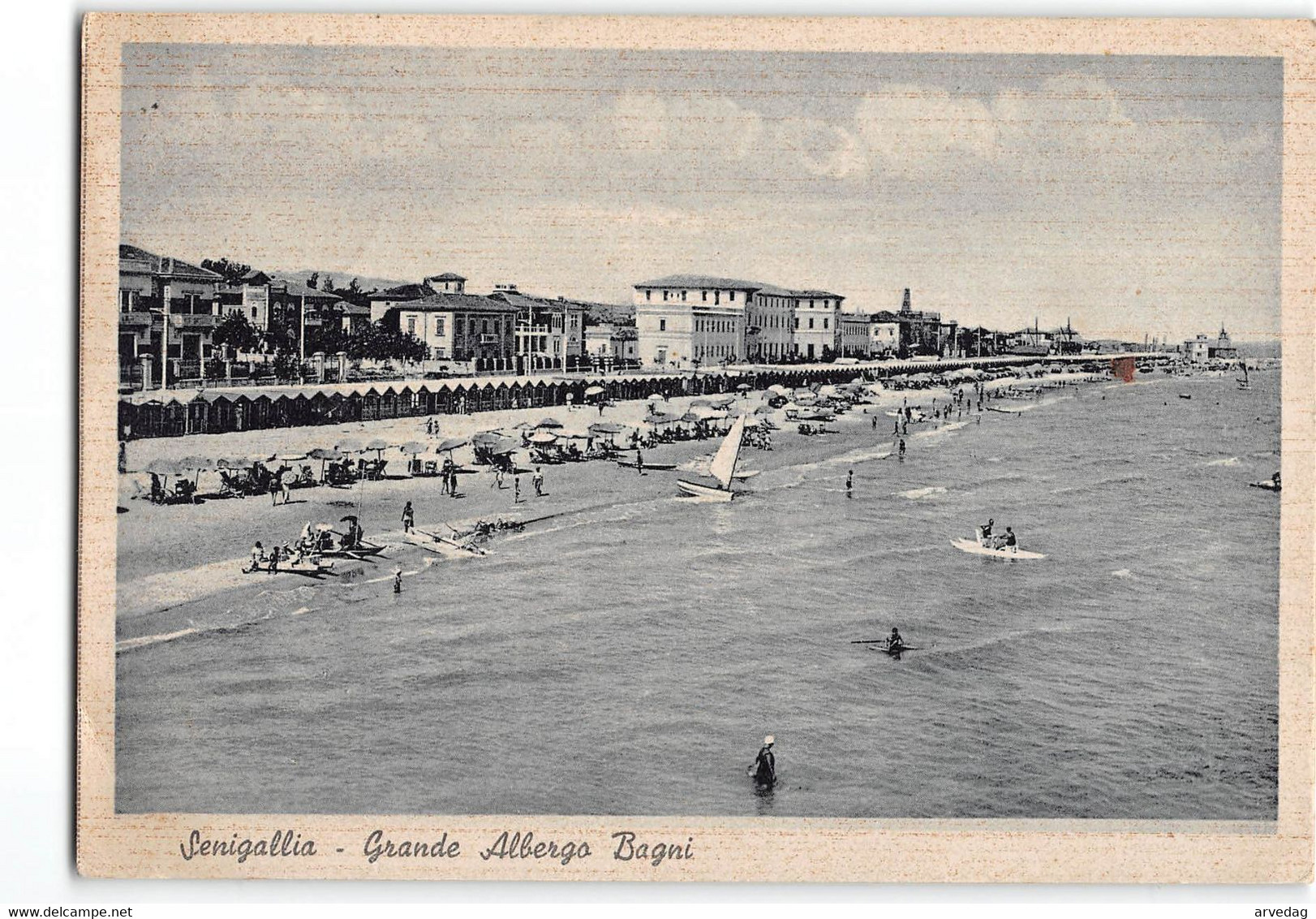 AG1372 SENIGALLIA - Senigallia