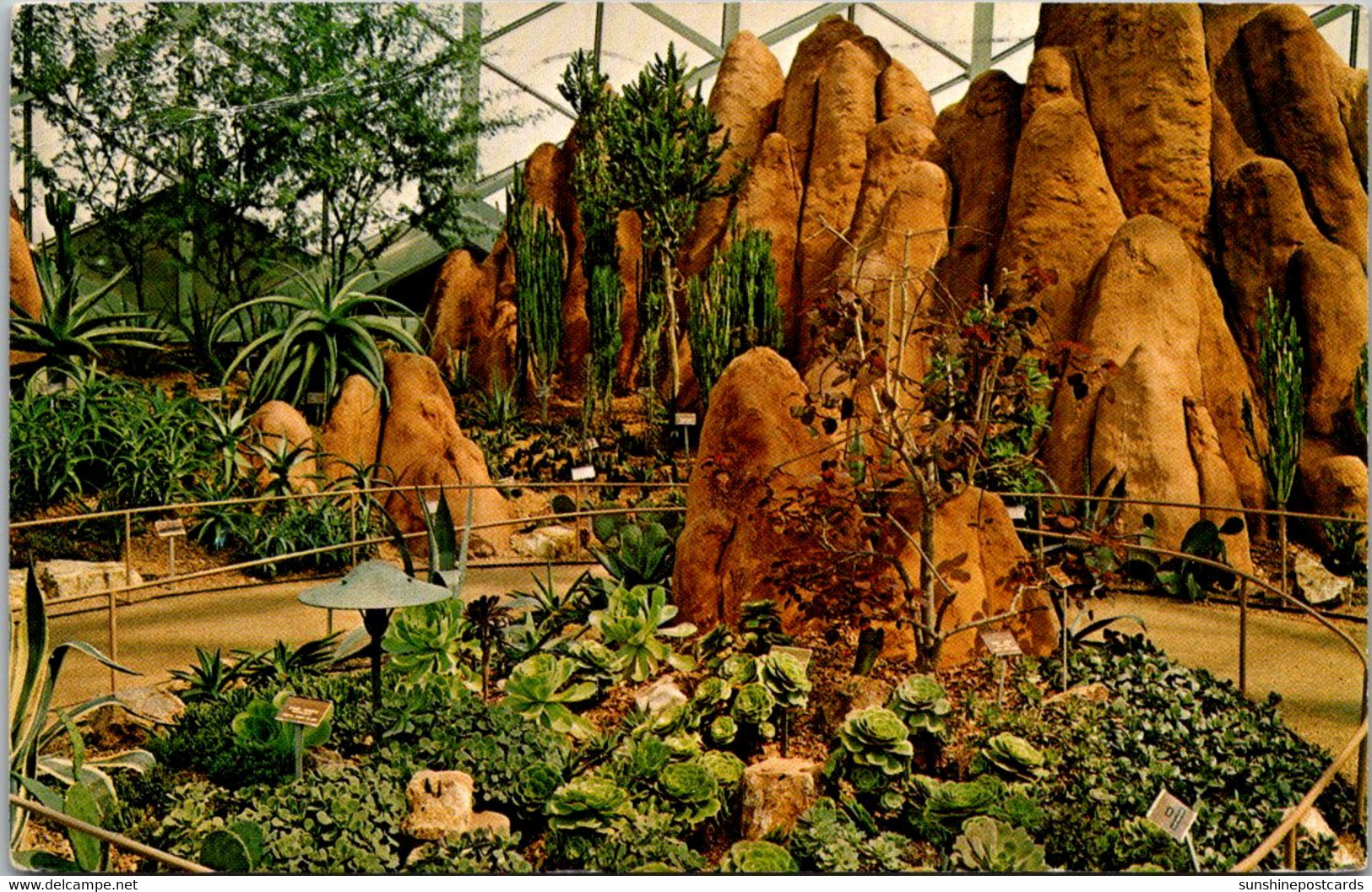 Wisconsin Milwaukee Mitchell Park Horticultural Conservatory Arid Dome With PLants Of The Canary Islands 1970 - Milwaukee