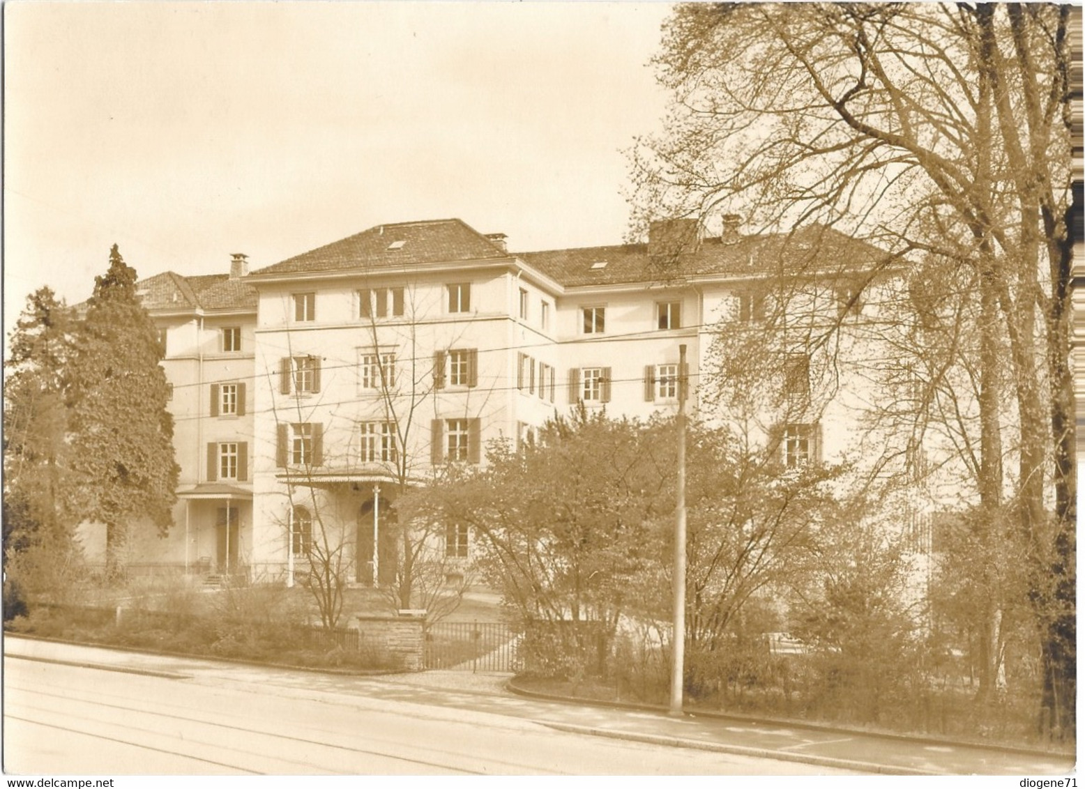 Altersheim Wäldli Zürich 7 - Wald