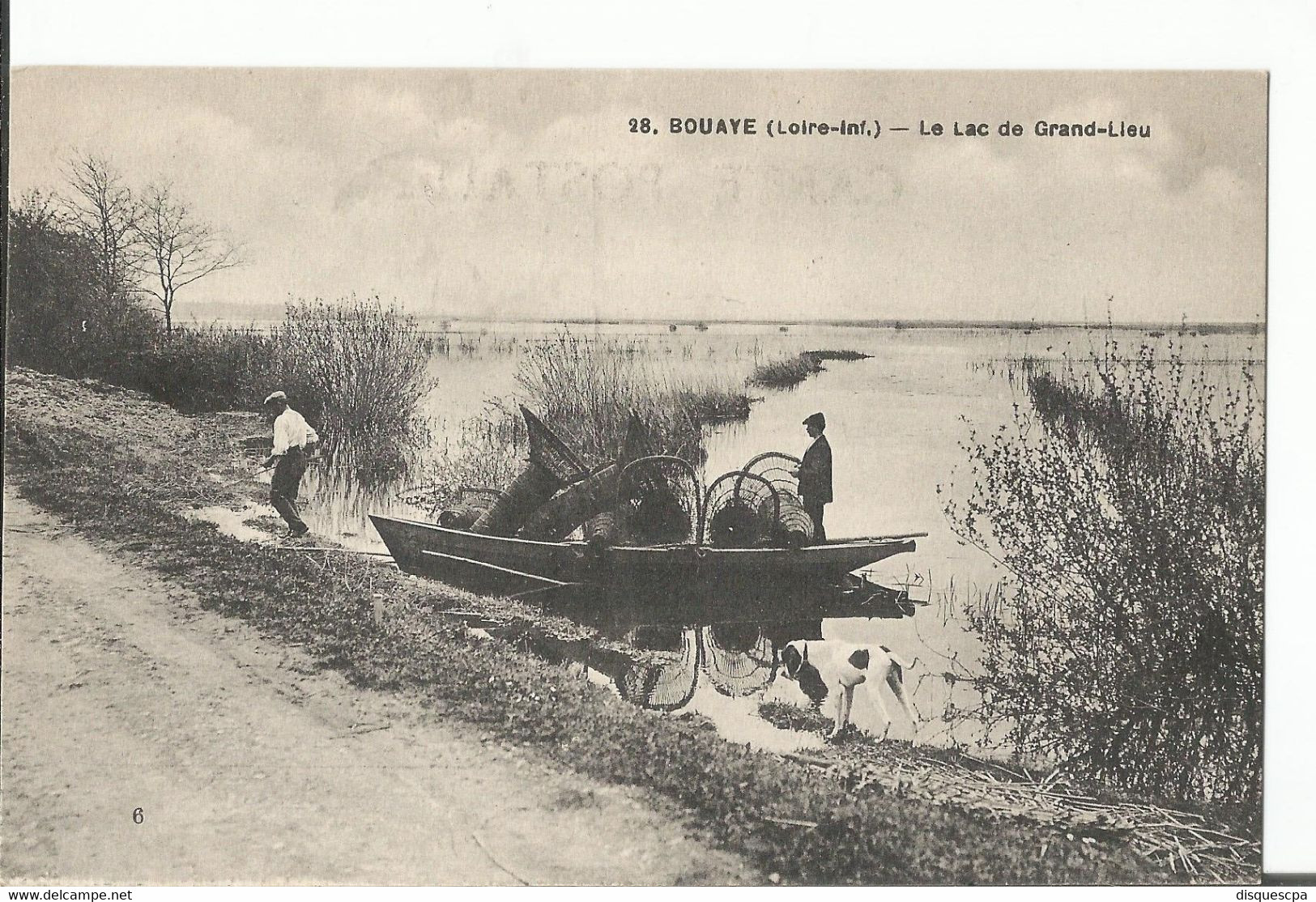 °° 44 °°°28. BOUAYE (Loire-Inf.) - Le Lac De Grand-Lleu" °° 983    °°° - Bouaye