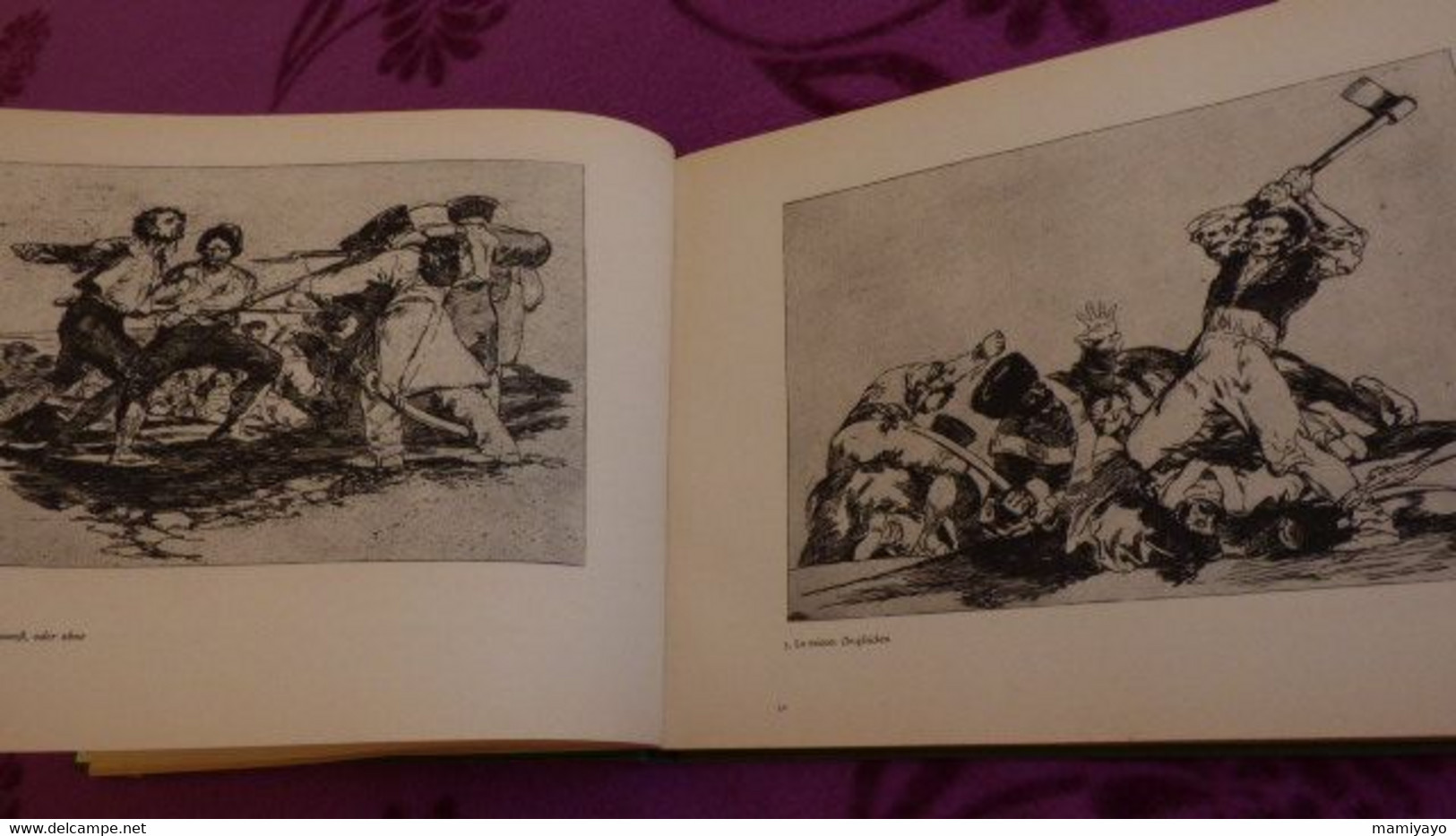 2 Livres Sur GOYA *DAS GRAUEN DES KRIEGES * Gravures /Guerre- Espagne Et Goya & Nizon. - Art