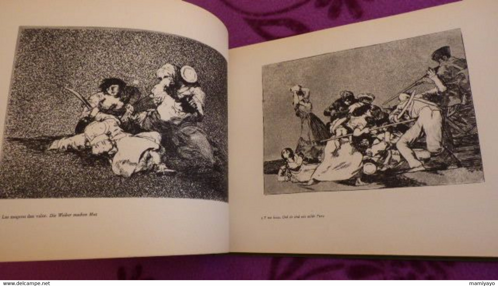 2 Livres Sur GOYA *DAS GRAUEN DES KRIEGES * Gravures /Guerre- Espagne Et Goya & Nizon. - Art