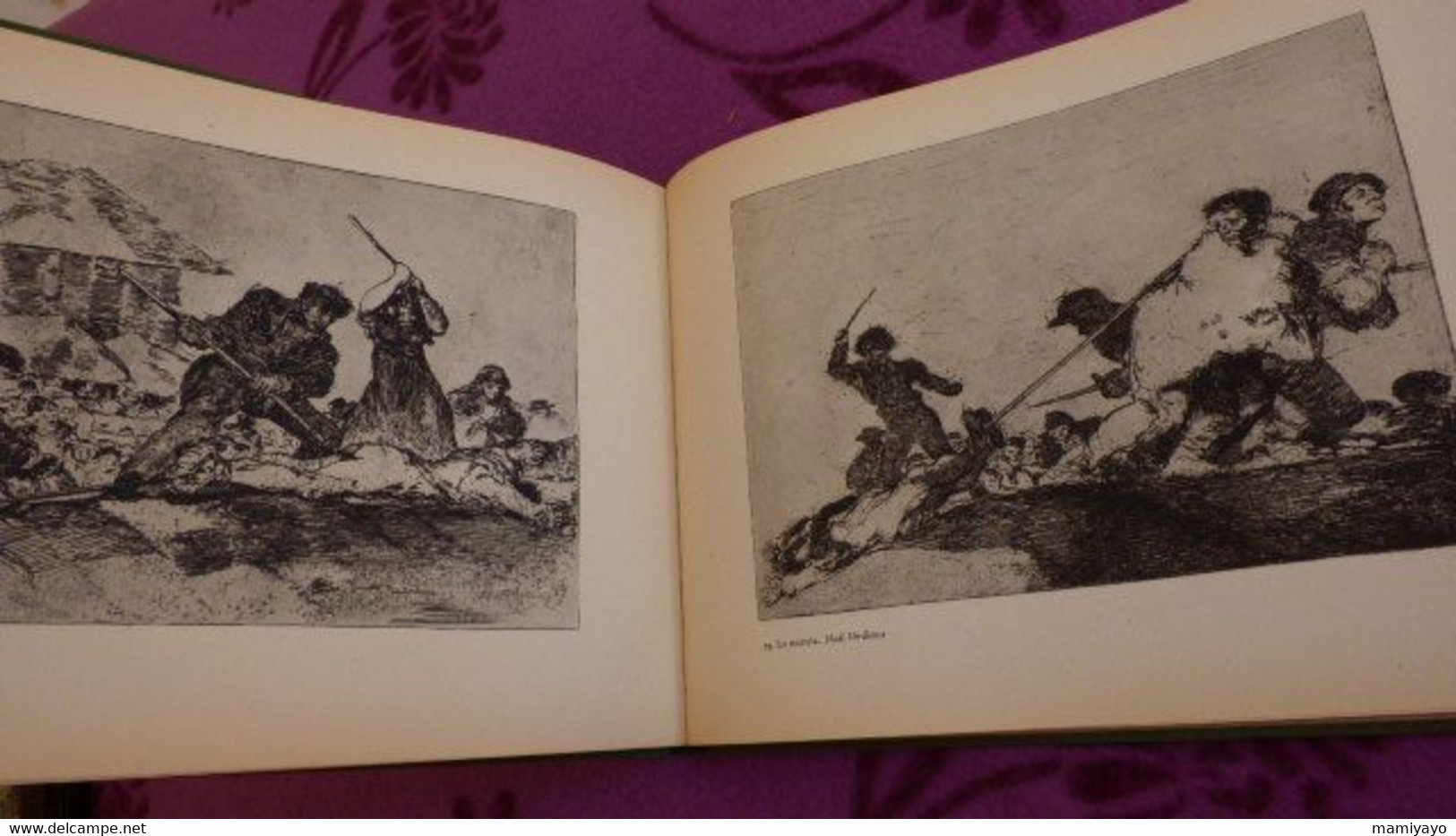 2 livres sur GOYA *DAS GRAUEN DES KRIEGES * Gravures /Guerre- Espagne et Goya & Nizon.