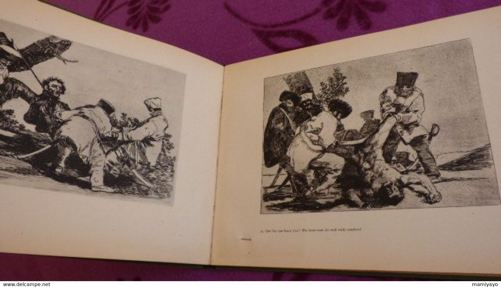 2 livres sur GOYA *DAS GRAUEN DES KRIEGES * Gravures /Guerre- Espagne et Goya & Nizon.