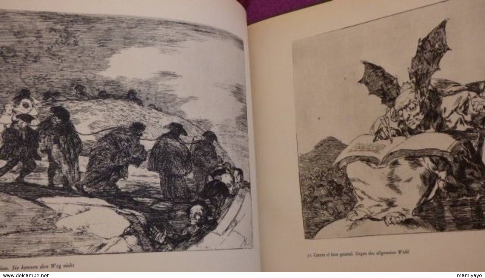 2 livres sur GOYA *DAS GRAUEN DES KRIEGES * Gravures /Guerre- Espagne et Goya & Nizon.