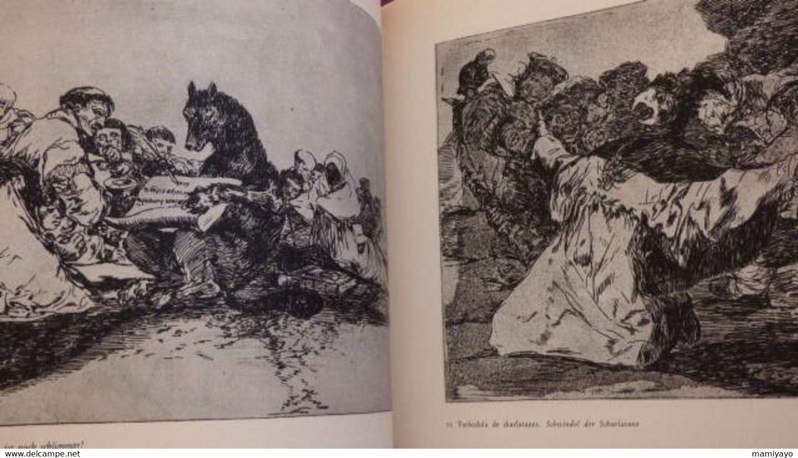 2 livres sur GOYA *DAS GRAUEN DES KRIEGES * Gravures /Guerre- Espagne et Goya & Nizon.