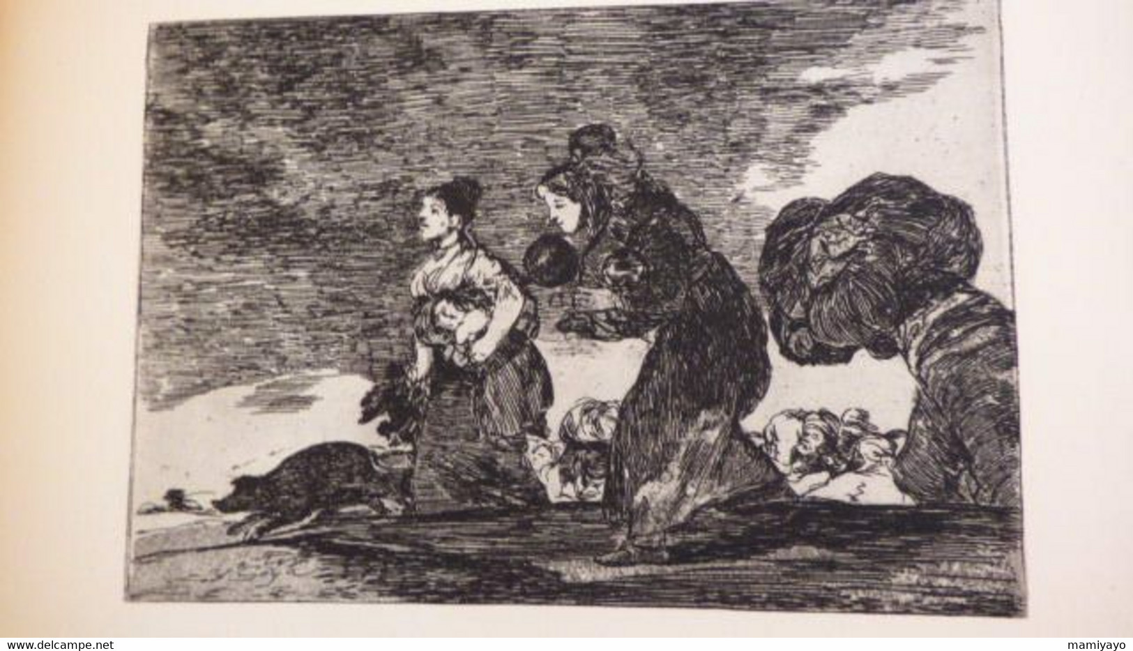 2 livres sur GOYA *DAS GRAUEN DES KRIEGES * Gravures /Guerre- Espagne et Goya & Nizon.