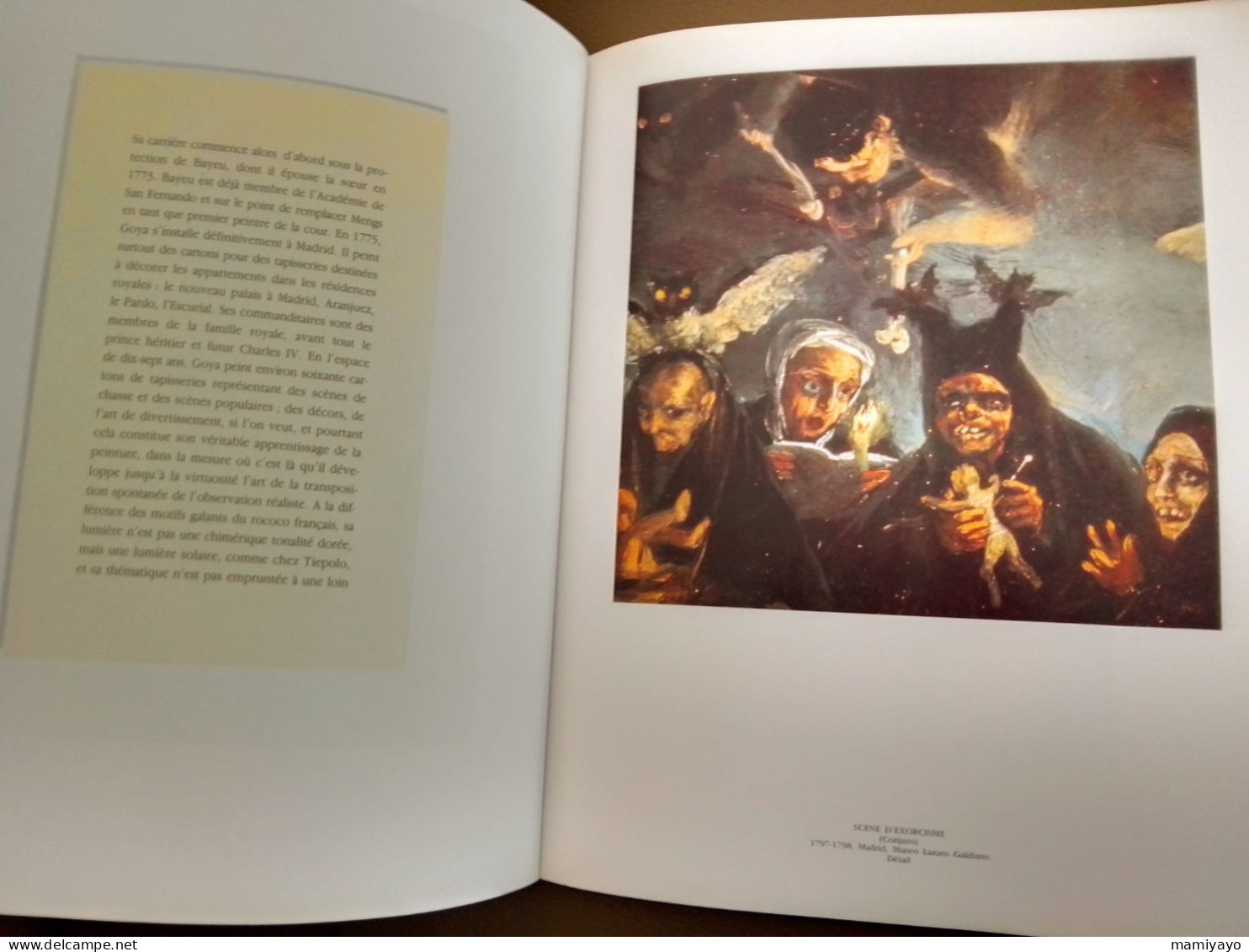 2 livres sur GOYA *DAS GRAUEN DES KRIEGES * Gravures /Guerre- Espagne et Goya & Nizon.