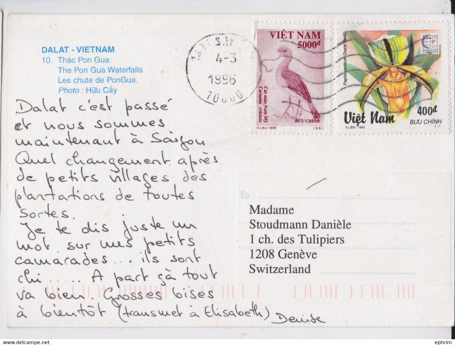 Viêtnam Carte Postale Affranchissement Timbre Oiseau Fleur Bird Flower Stamp Franking Postcard 1996 - Viêt-Nam