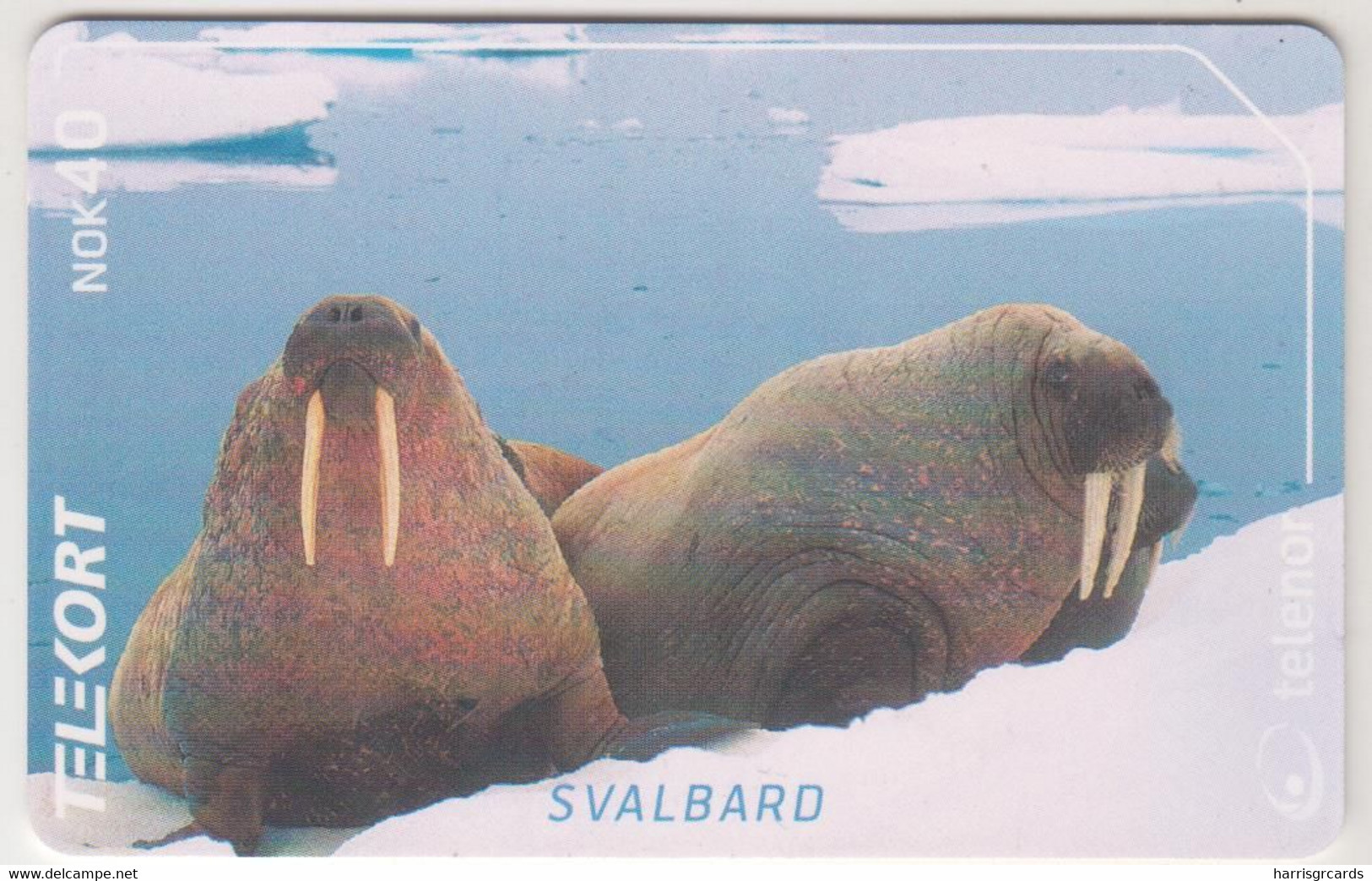 SVALBARD - Seals (234), Chip :GEM1A , 40 KR, Tirage 11.500, Used - Svalbard