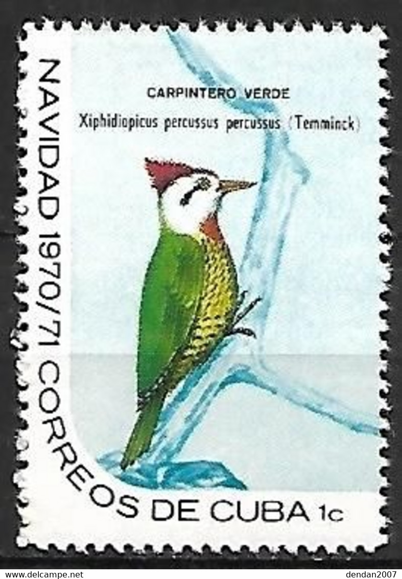 Cuba - MNH ** 1970 :     Cuban Green Woodpecker  -  Xiphidiopicus Percussus - Pics & Grimpeurs