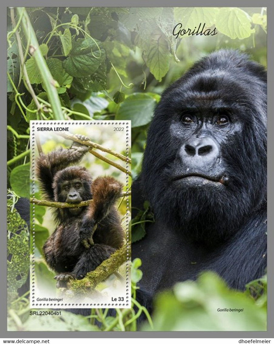SIERRA LEONE 2022 MNH Gorillas Gorilles S/S I - OFFICIAL ISSUE - DHQ2244 - Gorilas