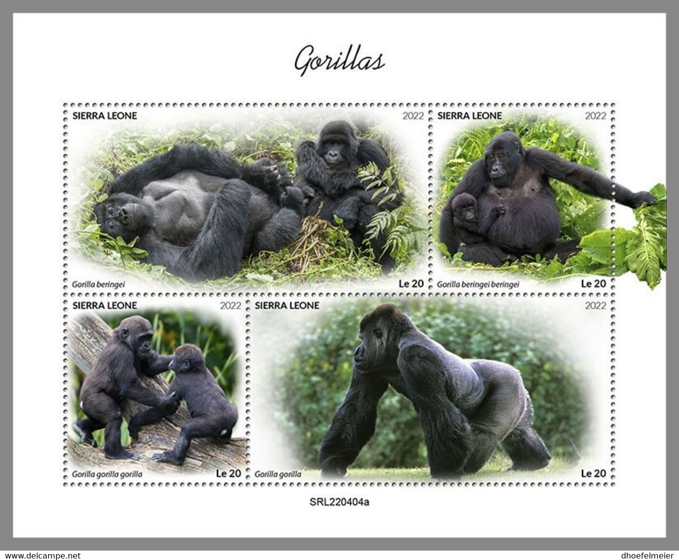 SIERRA LEONE 2022 MNH Gorillas Gorilles M/S - IMPERFORATED - DHQ2244 - Gorilles