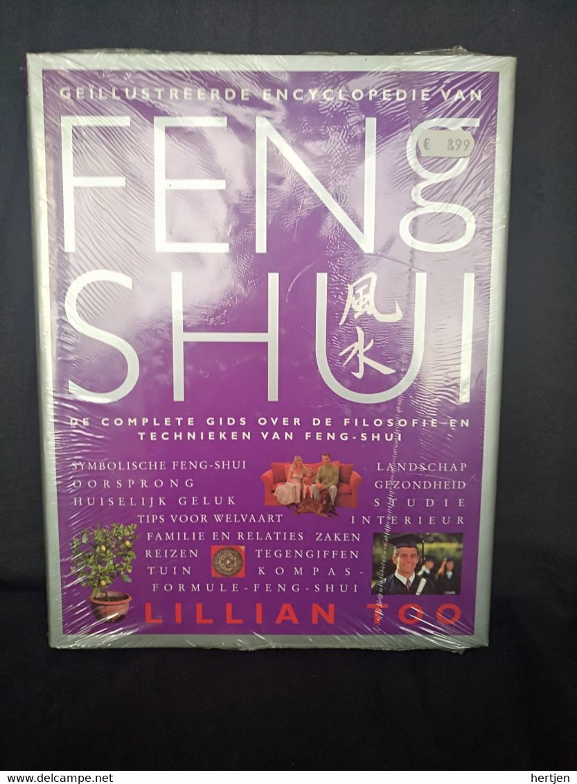 De Complete Gids Over De Filosofie En Technieken Van Feng Shui - Lillian Too - Esoterismo