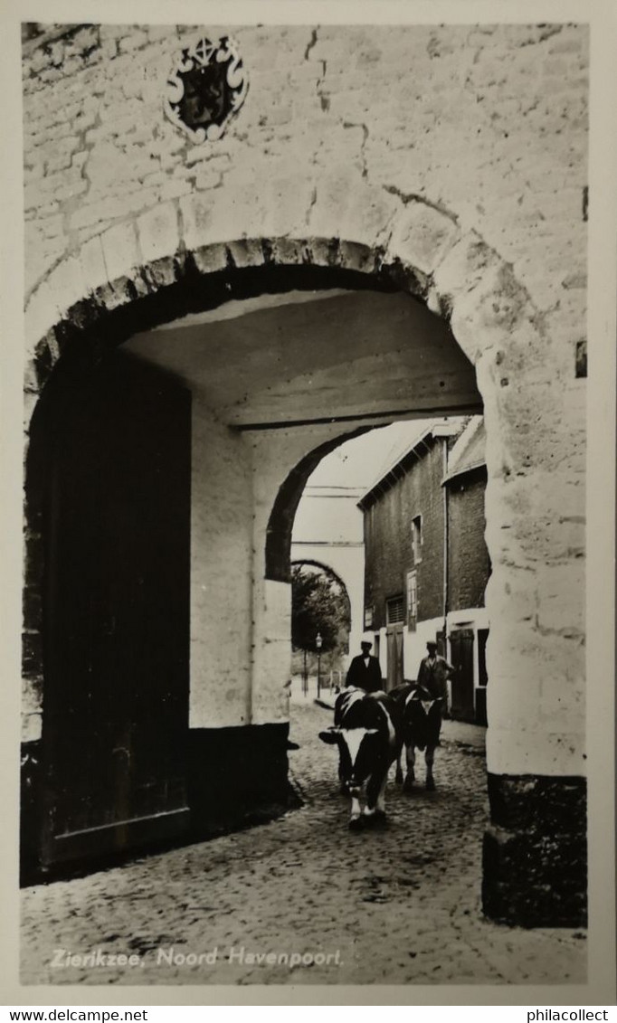 Zierikzee // Noord Havenpoort Met Koeien Door De Poort 1954 - Zierikzee