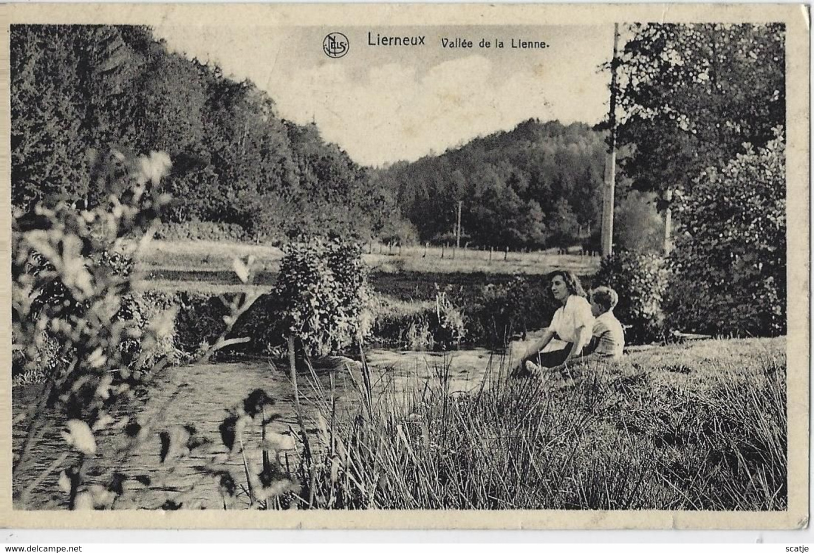 Lierneux    -   Vallée De La Lienne. - Lierneux