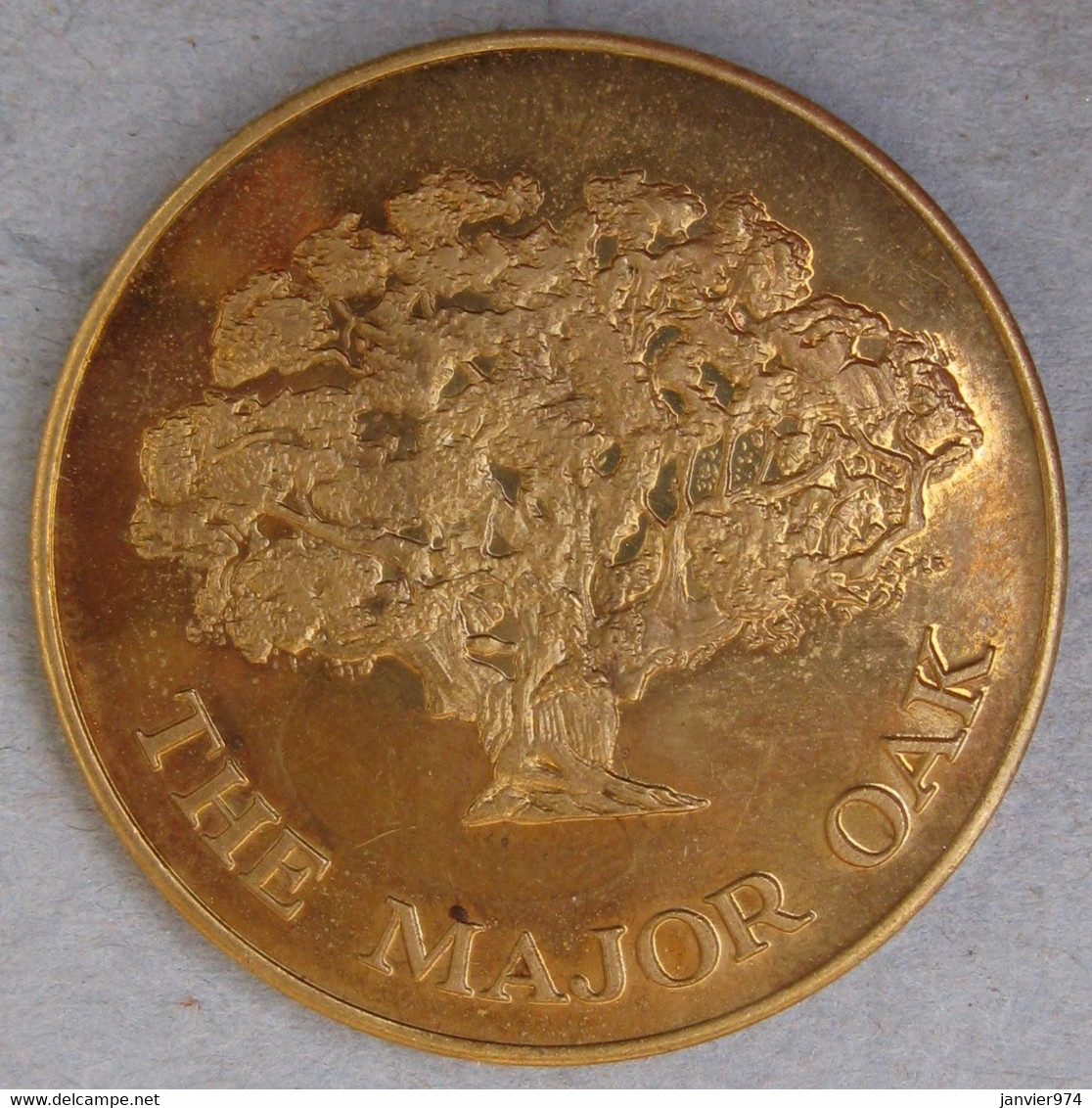 Médaille Robin Des Bois – Robin Hood - Sherwood Forest – The Major Oak - Sonstige & Ohne Zuordnung