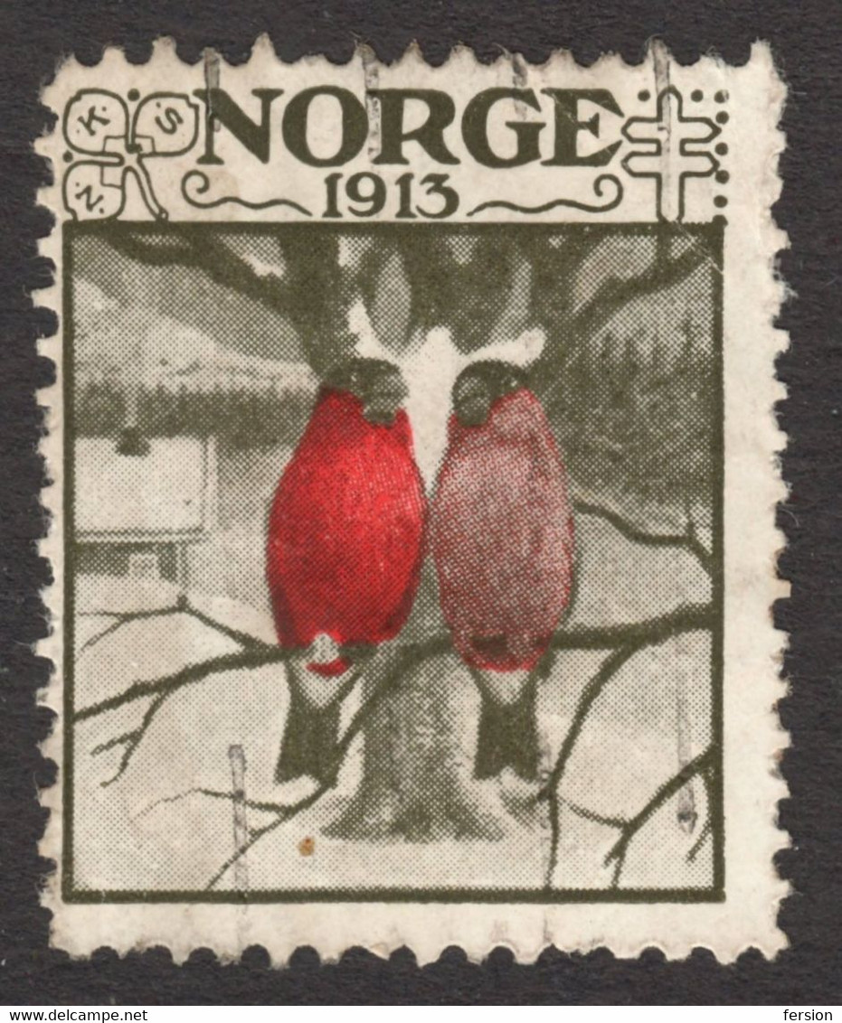 BIRD Bullfinch Christmas GOD JUL Kvinners Sanitetsforening NKS TBC Tuberculosis Label Cinderella Vignette 1913 NORWAY - Andere & Zonder Classificatie