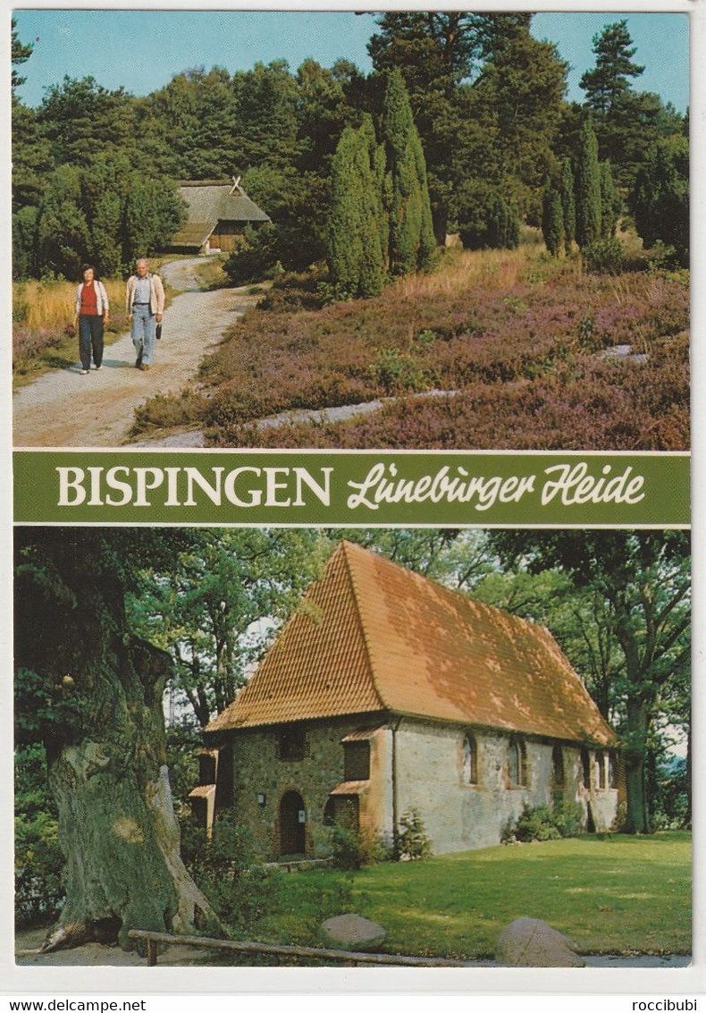 Bispingen, Lüneburger Heide, Niedersachsen - Lüneburger Heide
