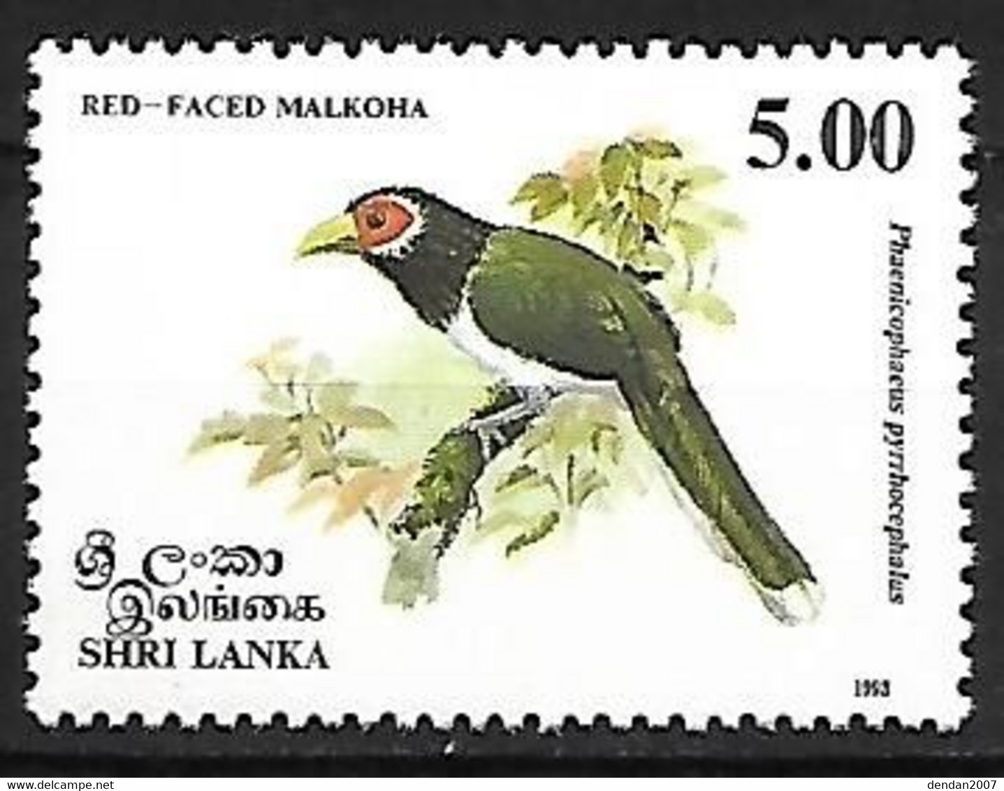 Sri Lanka - MNH ** 1993 :     Red-faced Malkoha  -  Phaenicophaeus Pyrrhocephalus - Cuco, Cuclillos