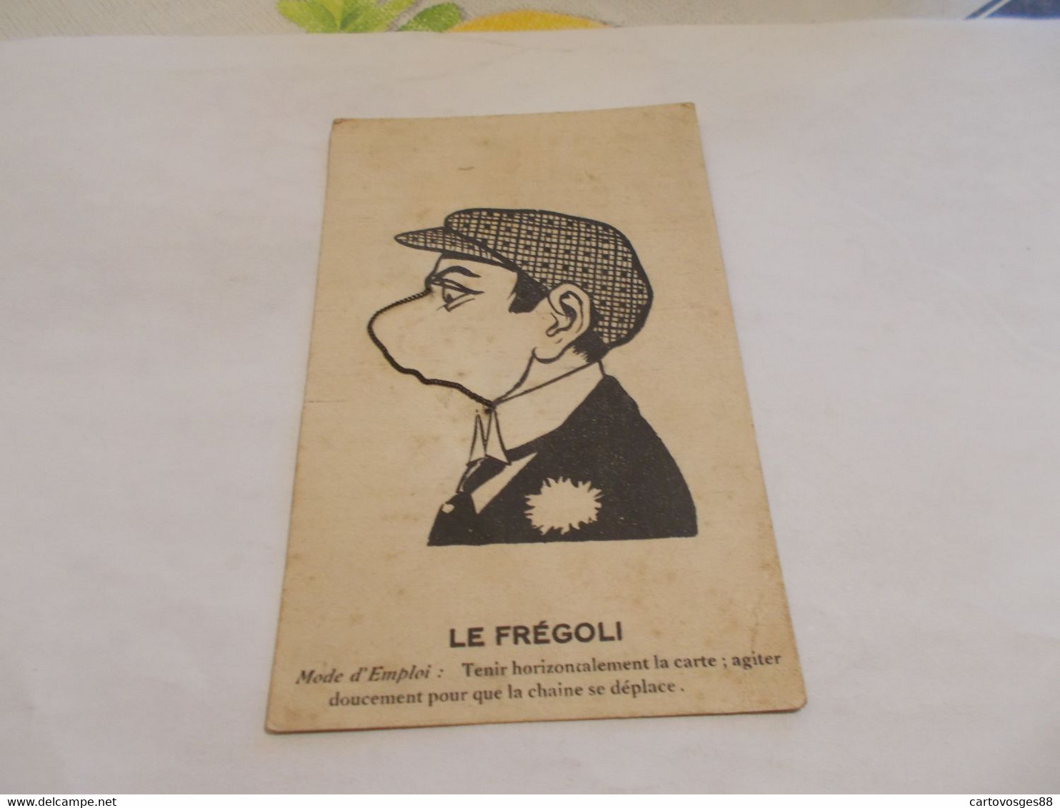 CARTE FANTAISIE A SYSTEME  LE FREGOLI - Cartoline Con Meccanismi