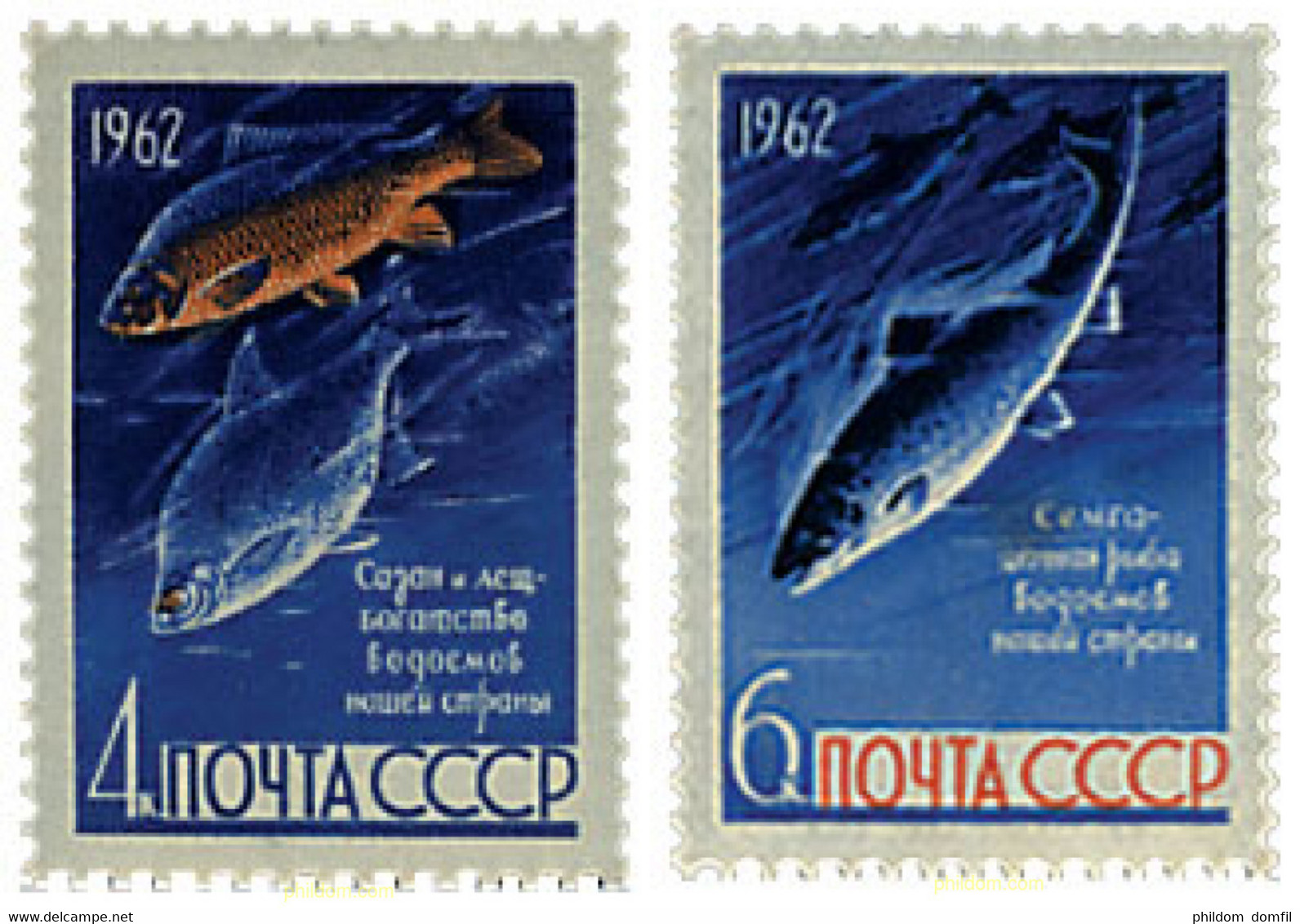 62998 MNH UNION SOVIETICA 1962 PECES - Collezioni