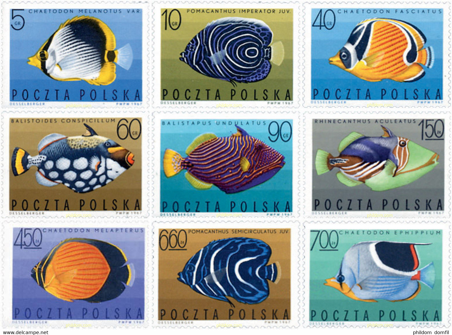 61626 MNH POLONIA 1967 PECES EXOTICOS - Unclassified