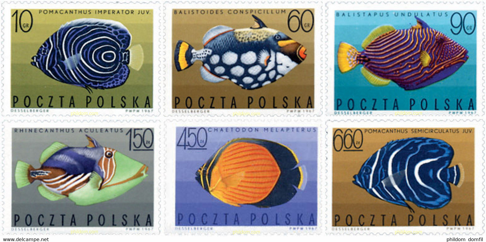 230548 MNH POLONIA 1967 PECES EXOTICOS - Unclassified