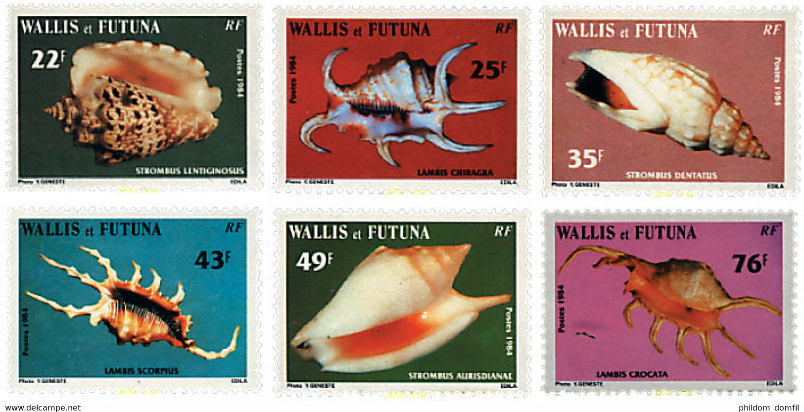 45858 MNH WALLIS Y FUTUNA 1984 CONCHAS - Oblitérés