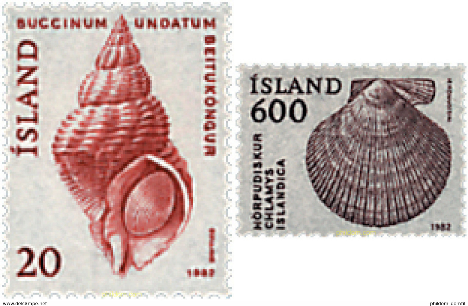 66895 MNH ISLANDIA 1982 CONCHAS - Collections, Lots & Séries