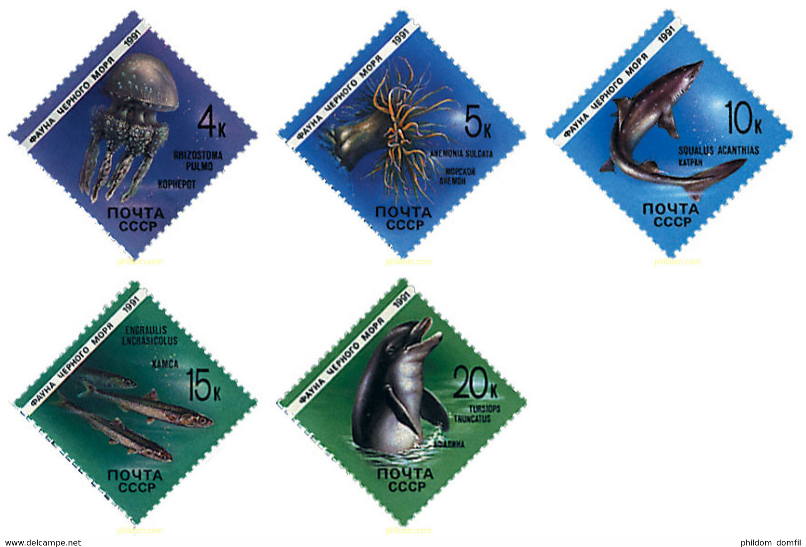 63557 MNH UNION SOVIETICA 1991 FAUNA MARINA DEL MAR NEGRO - Collections