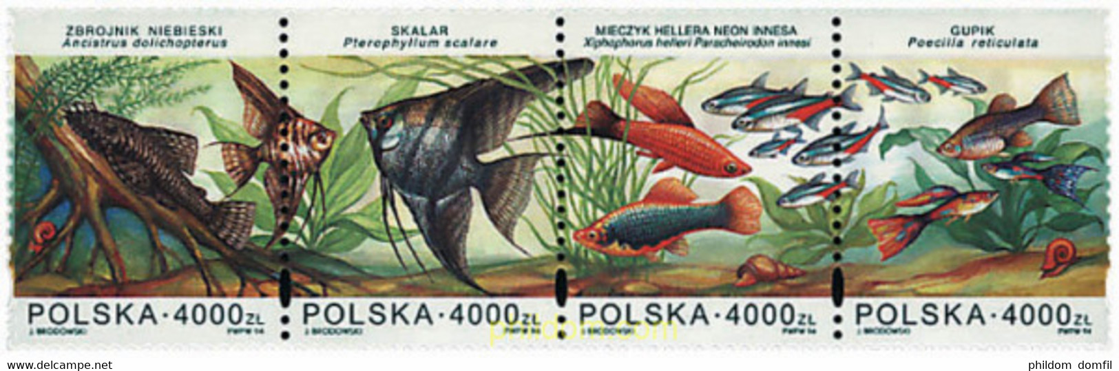 156196 MNH POLONIA 1994 PECES ORNAMENTALES - Unclassified