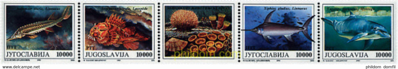 7011 MNH YUGOSLAVIA 1993 FAUNA MARINA - Used Stamps