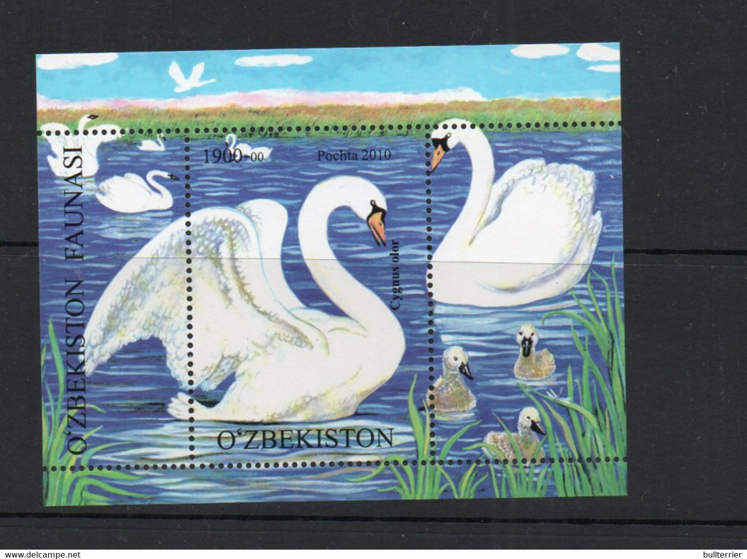 BIRDS - UZBEIKSTAN - 2010 - SWAN SOUVENIR SHEET  MINT NEVER HINGED, SG CAT £23 - Swans