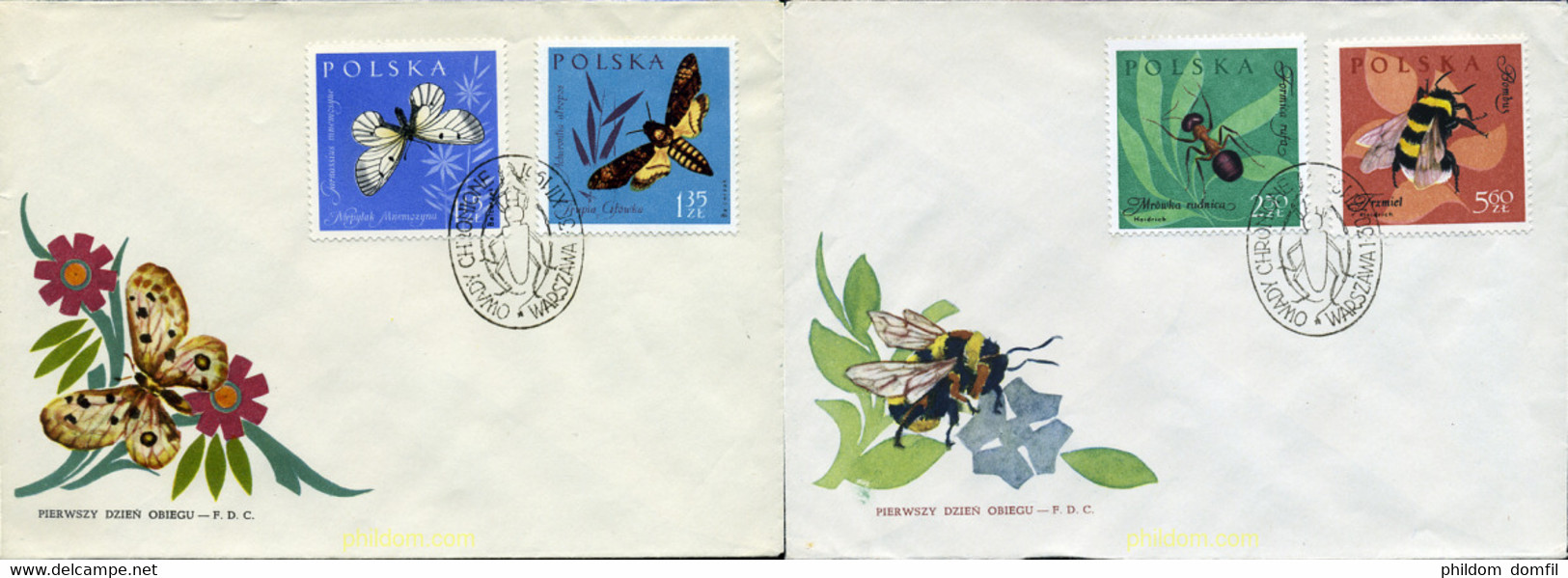 285243 MNH POLONIA 1961 INSECTOS - Unclassified