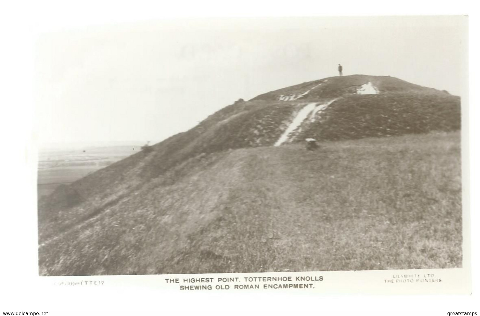 Bedfordshire Postcard Tottenhoe Knolls Old Roman Encampment Rp Lillywhite Unused - Andere & Zonder Classificatie